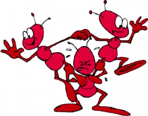 we are ants.jpg